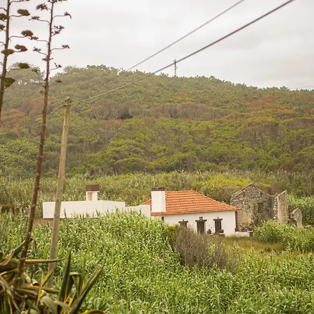 Panorama Seaview House Casa vacanze Marinha Grande