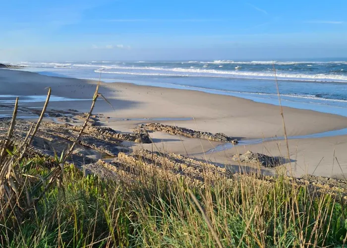 Panorama Seaview House Hébergement de vacances *